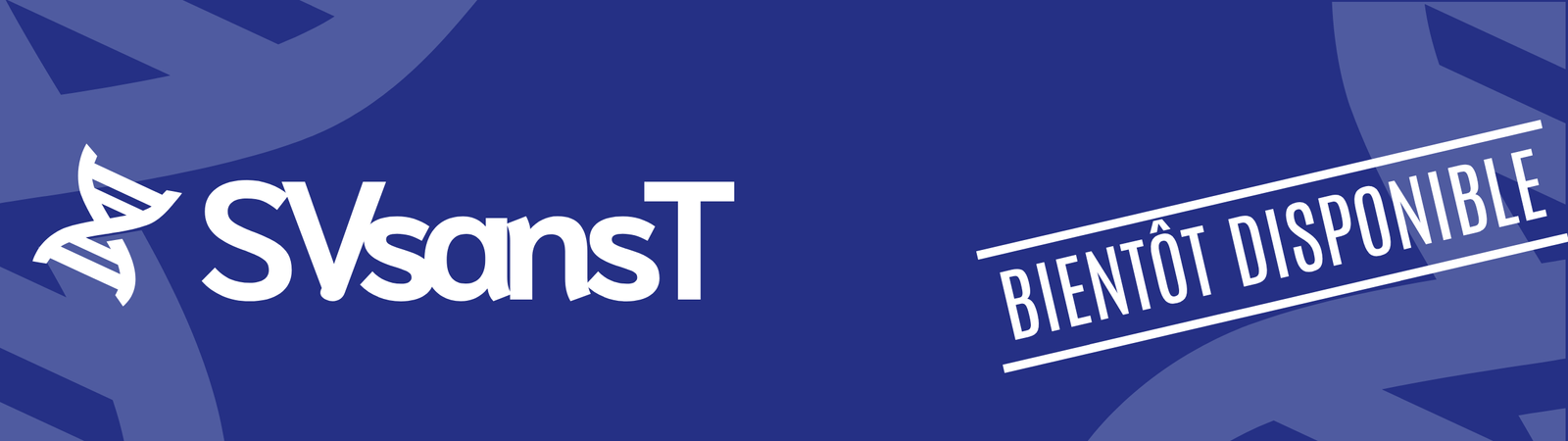 Bannière SVsansT
