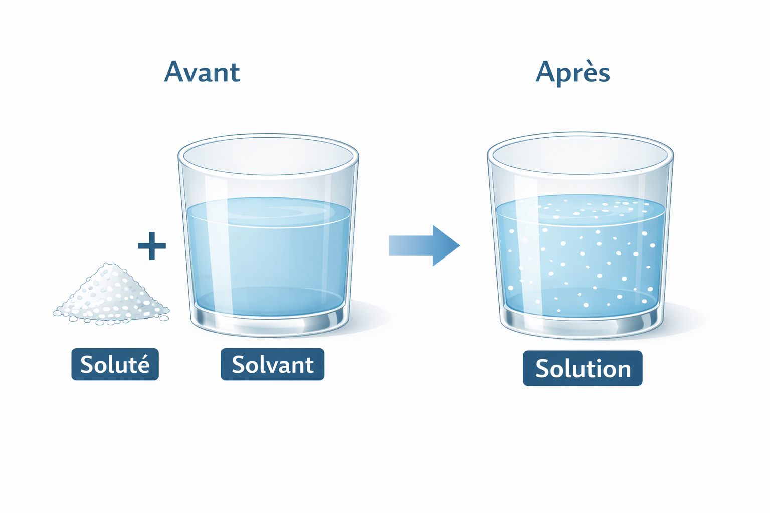 Schéma de la dissolution (soluté / solvant)