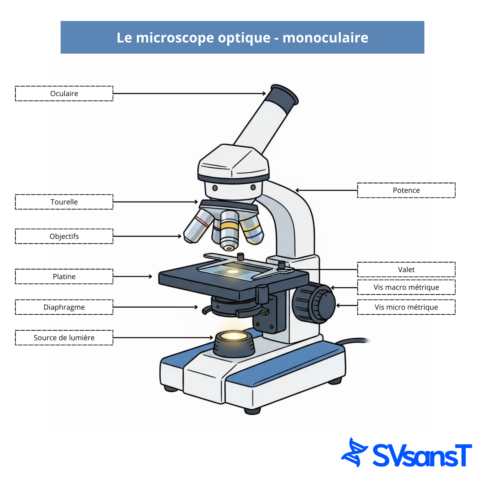 Schéma légendé des parties du microscope
